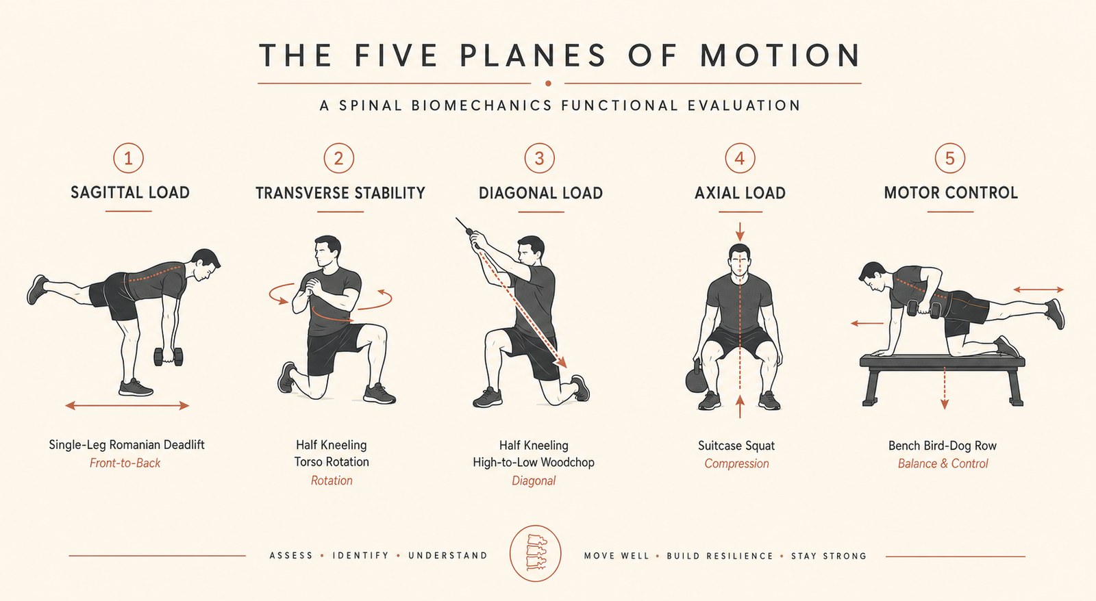 Editorial infographic showing the five planes of motion assessed in the Pravida OxeFit spine biomechanics battery &mdash; sagittal load via single-leg Romanian deadlift, transverse stability via half-kneeling torso rotation, diagonal load via half-kneeling high-to-low woodchop, axial load via suitcase squat, and motor control via bench bird-dog row, with terracotta accent labels on a warm cream background